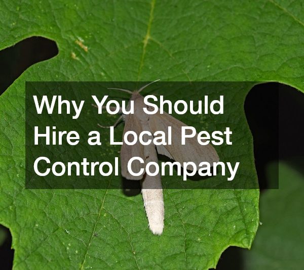 Why You Should Hire a Local Pest Control Company