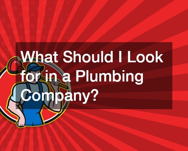 What Should I Look for in a Plumbing Company?