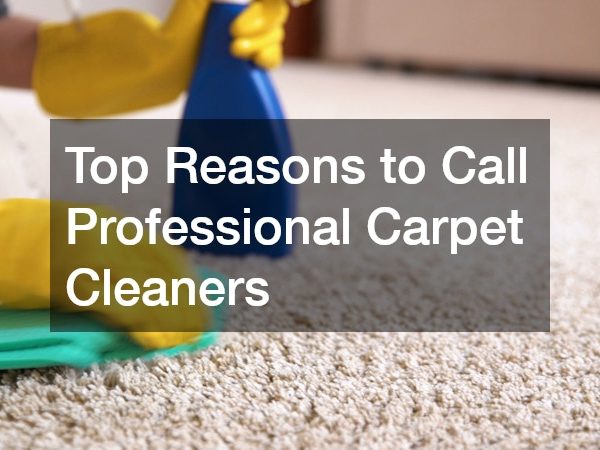 Top Reasons to Call Professional Carpet Cleaners