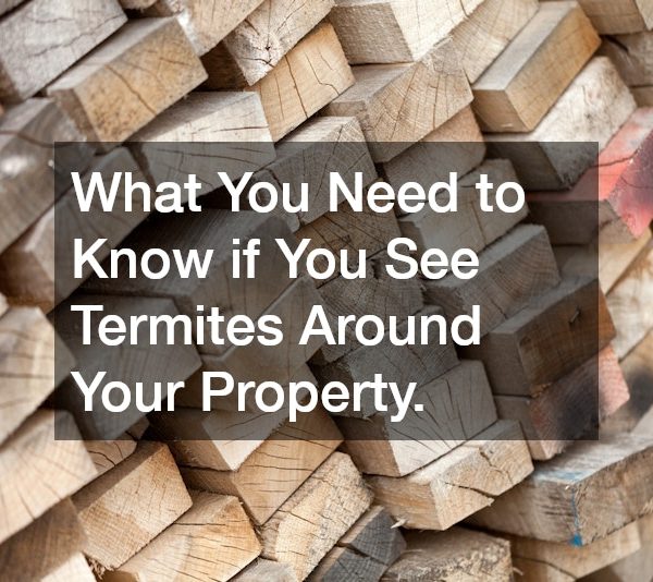 What You Need to Know if You See Termites Around Your Property.