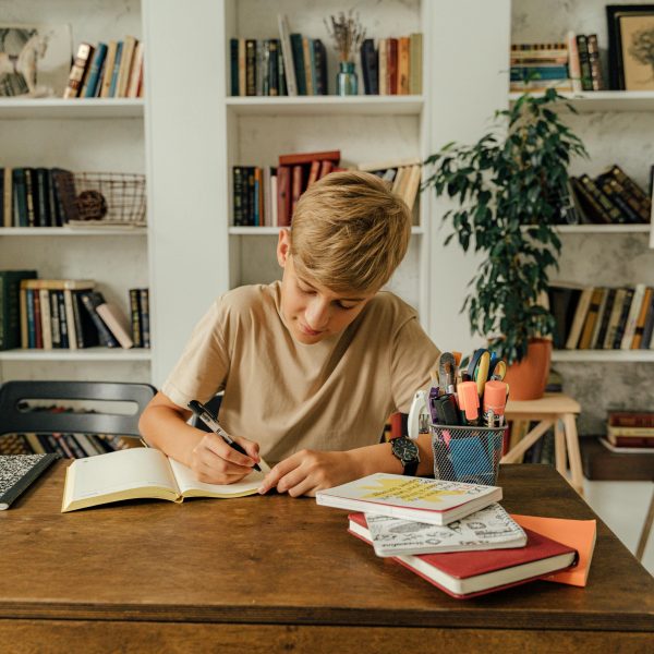 Study Room Ideas to Improve Productivity at Home