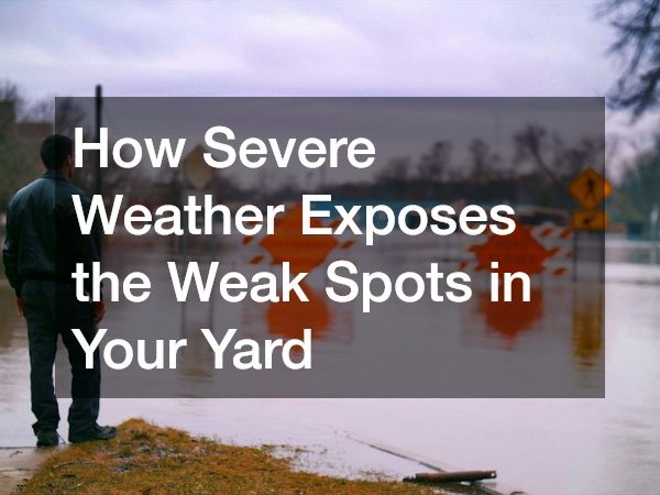 How Severe Weather Exposes the Weak Spots in Your Yard